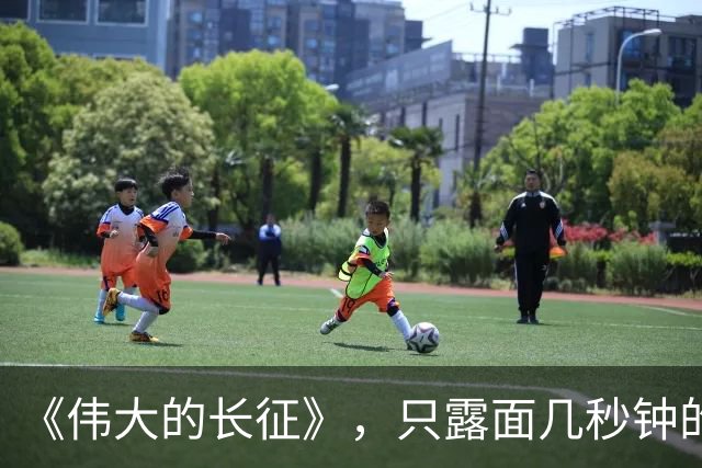 《伟大的长征》，只露面几秒钟的红军参谋长，我查了半天资料