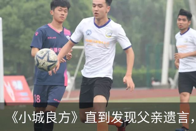 《小城良方》直到发现父亲遗言，艾辰才知，刘铮亮求婚的真相
