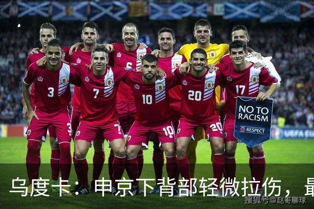 乌度卡：申京下背部轻微拉伤，最多缺席几场