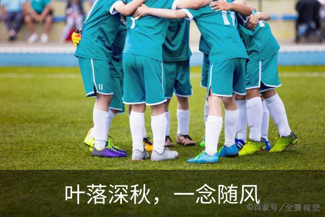 叶落深秋，一念随风