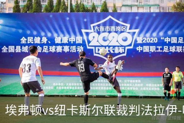 埃弗顿vs纽卡斯尔联裁判法拉伊-哈勒姆数据：近20场0红66黄6点