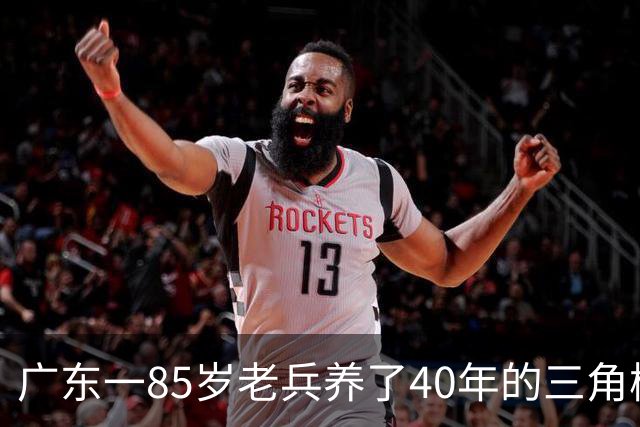 广东一85岁老兵养了40年的三角梅“火了”，开成“浪漫花屋”，网友：看哭了