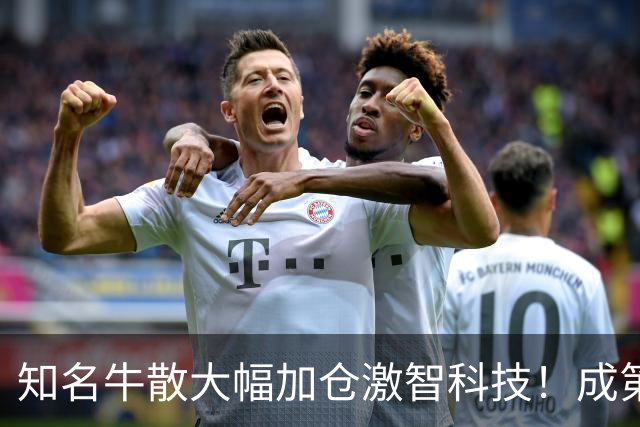 知名牛散大幅加仓激智科技！成第三大股东
