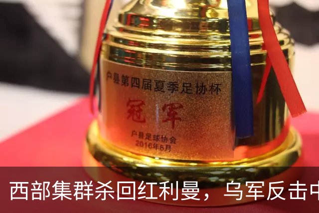 西部集群杀回红利曼，乌军反击中套了 ，空降兵反攻扎波罗热失地
