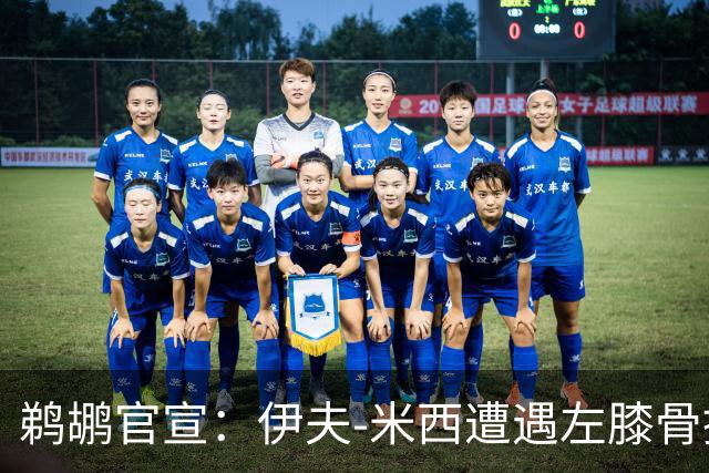 鹈鹕官宣：伊夫-米西遭遇左膝骨挫伤 归期未定