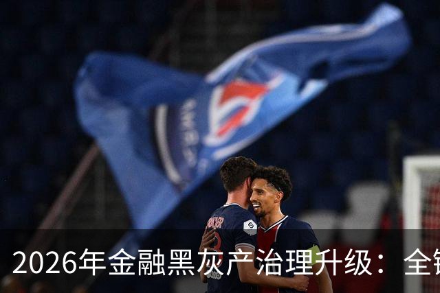 2026年金融黑灰产治理升级：全链条打击与警银协同