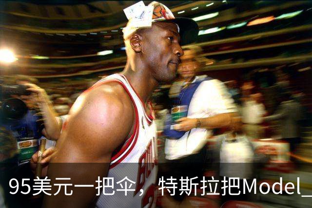 95美元一把伞，特斯拉把Model 3徽标印进了内衬